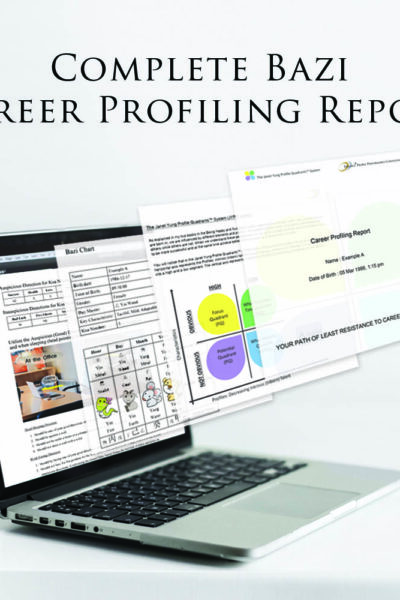 Complete Bazi Career Profiling Report
